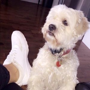 Meet your Posher, Cheryl